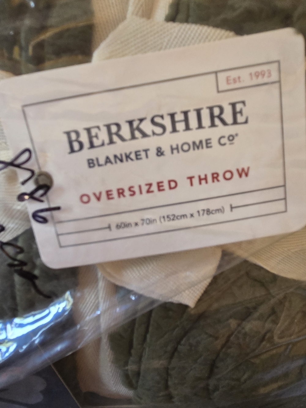 Berkshire Oversized Throw Blanket in Sage Green